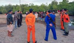 Diterkam Buaya di Sungai, Tim SAR Lakukan Pencarian Korban