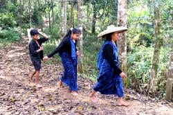 Tradisi Seba Baduy, Ribuan Masyarakat Baduy Akan Temui Bapa Gede