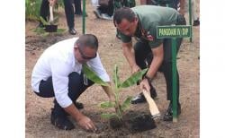 Pangdam Diponegoro Dorong Inovasi Program Budidaya Pisang Cavendish di Kebumen