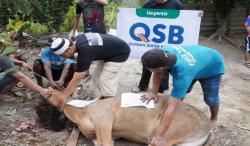 LAZ Persis Luncurkan Qurban Super Barokah, Wujudkan Pemerataan Manfaat dan Syiar Islam