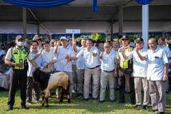 Unik! Upacara Harkitnas 2024 Berhadiah Kambing di Undip 