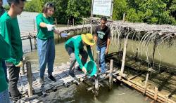 MPMX Kembali Tanam 30.000 Bibit Mangrove di NTT, Langkah Kongkret Menuju Kelestarian Lingkungan 