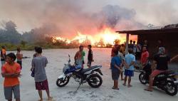 Kandang Berisi Puluhan Ribu Ayam Milik Anggota DPRD Sragen Ludes Terbakar 