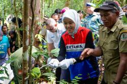 Kilang Kasim Lepasliarkan Puluhan Satwa Endemik ke Habitatnya