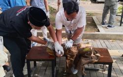 Fakultas Peternakan UGM-Juleha Latih Juru Sembelih Hewan Kurban