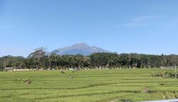 Prakiraan Cuaca Hari Ini untuk Wilayah Ciamis dan Sekitarnya, Selasa 28 Mei 2024