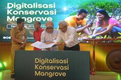 Indosat Gandeng Undip Wujudkan Digitalisasi Konservasi Mangrove di Pantura Jawa, Ini Tujuannya