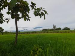 Prakiraan Cuaca Kota Banjar dan Sekitarnya, Rabu 29 Mei 2024: Sepanjang Hari Cerah Berawan