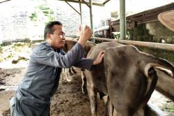 Jelang Idul Adha Pemkab Bogor Massif Lakukan Pengecekan Kesehatan Hewan Qurban