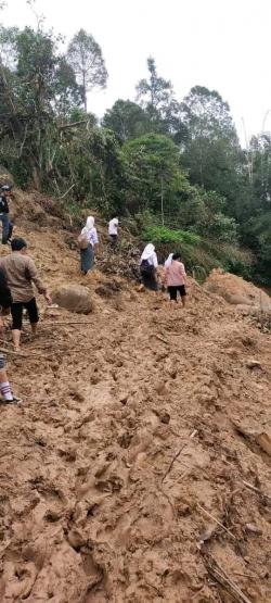 Jalan ke 13 Desa di Mamasa Tertutup Longsor, Warga Minta Keseriusan Pemerintah Buka Ases Jalan