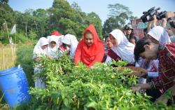 Mbak Ita Dorong Anak Muda Menjadi Agen Ketahanan Pangan