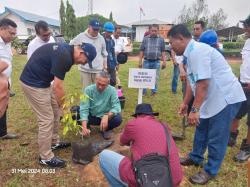 Gerakan Spontan Karyawan Lonsum Dukung Pelestarian Lingkungan, Tanam Pohon Buah untuk Penghijauan