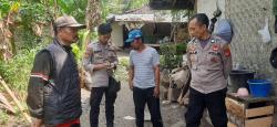 Sudah Sepekan Emus Hilang, Polisi Lakukan Pencarian Sampai ke Hutan