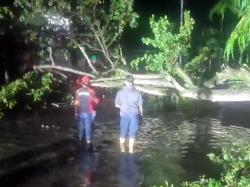 Cuaca Buruk Menyebabkan 2 Pohon Tumbang Serta Banjir Rendam Ruas Jalan dan Pemukiman