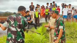 Kakek Pencari Rumput Tewas Tersambar KA