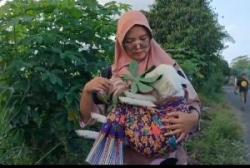 Waduh, Bidan Cantik Jalan-Jalan  Sambil Gendong Anak Kambing di Yogyakarta, Begini Faktanya !