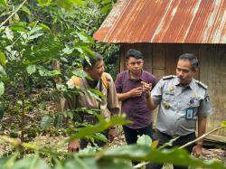 Segera Didaftarkan Kopi Dombu Sigi Sebagai Indikasi Geografis Kekayaan Intelektual