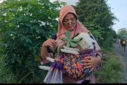 Bidan Cantik Ini Ajak Jalan-Jalan Anak Kambing sambil Digendong Viral
