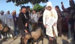 Pernikahan Unik, 4 Pasang Pengantin Nikah Bareng dengan Mahar Kepala Kambing