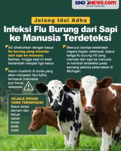 Infeksi Flu Burung dari Sapi ke Manusia Terdeteksi, Hati - Hati saat Memilih Hewan Qurban