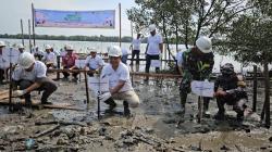 Hari Lingkungan Hidup dan Hari Laut International, PLN NP UP Belawan Tanam 1.500 Mangrove