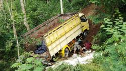 Tidak Kuat Menanjak, Truk Muatan Ampas Tahu Terperosok ke Tebing di Boyolali