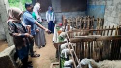 YKSB dan  ChildFund Internasional Indonesia Salurkan Bantuan Hewan Ternak Kambing