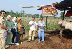 Jelang Idul Adha, Pemkot Cilegon Temukan Hewan Kurban Berpenyakit