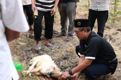 Jelang Idul Adha, Pemuda Muhammadiyah Gandeng Lazismu Grobogan Siapkan Juleha