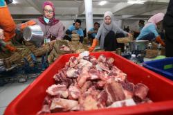 Konsumsi Daging Kurban Biar Sehat dan Aman