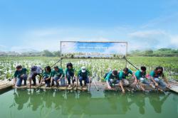 Memperingati Hari Lingkungan Hidup Sedunia, Alam Sutera Group Tanam 10.000 Bibit Mangrove