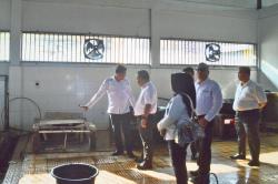 Wujudkan Dapur Bersih dan Sehat, Kalapas Kelas I Medan Tinjau Renovasi Dapur