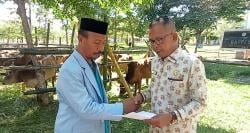 Pj Bupati Pidie Jaya Aceh Salurkan 159 Ekor Sapi Kurban Kepada Masyarakat