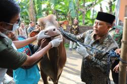 Hewan Kurban Tak Bisa Sembarangan Masuk Jombang, Pj Bupati Minta Lakukan Karantina