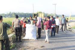 Pj Bupati Membersihkan Pantai Ujong Blang Bireuen