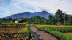 Pemandangan Masih Alami dan Sejuk, 3 Desa di Purwakarta Layak Dikunjungi