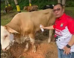 Polda Kepri Siapkan 34 Ekor Sapi Kurban untuk Hari Raya Idul Adha di Batam