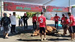 Bambang Pacul Bersama PDIP Jateng Menyembelih Hewan Kurban Peringati Hari Raya Idul Adha