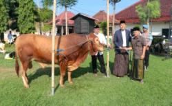 26 Ekor Hewan Kurban Polres Jombang Dibagikan ke Pesantren Hingga Panti Asuhan