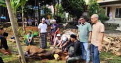 Peduli Sosial Para Jurnalis Bogor Salurkan Hewan Qurban di Hari Raya Idul Adha 1445 Hijriah