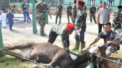 Idul Adha 1445 H, Korem 091/Aji Surya Natakesuma Sembelih 15 Hewan Kurban