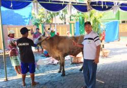 Masjid Darul Muttaqin Sambak Indah Bagikan 840 Bungkus Daging Kurban ke Warga, Tak Ada Antrian