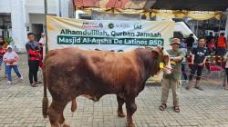 Masjid Al Aqsha De Latinos BSD Kurban 76 Sapi dan 75 Kambing Senilai Rp2,3 Miliar