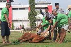 Berbagi dan Kebersamaan, Lapas Cilegon Potong Hewan Qurban di Hari Raya  Idul Adha 1445 H