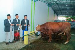 Bupati Lamongan Tinjau Penyembelihan Hewan Kurban