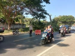 Sebuah Pohon Tumbang di Jalur Pantura Situbondo, Polisi dan Warga Lakukan Pembersihan