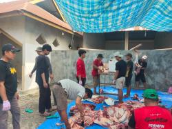Idul Adha, DPW LDII Sulbar Sembelih 159 Ekor Sapi dan 18 Ekor Kambing