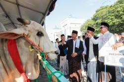 Jawa Timur Catatkan Lonjakan Signifikan Jumlah Hewan Kurban Tahun Ini, Segini Jumlahnya