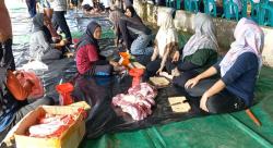 Qurban Idul Adha, Pemkab Babar Sembelih 5 Ekor Sapi dan 4 Ekor Kambing