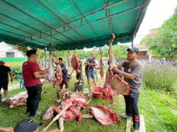 Berbagi Kebahagiaan Idul Adha, Masjid El Susi Meldina Sembelih 8 Lembu dan 7 Kambing 